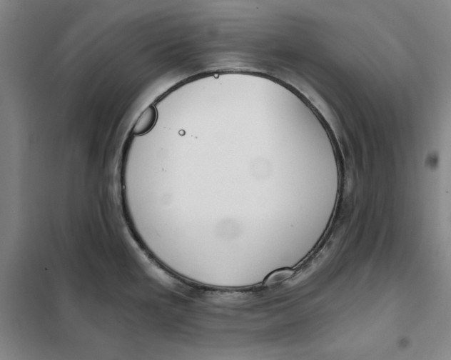X0000101121293200807241150