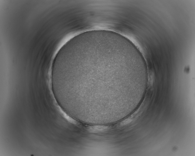 X0000101121294200807241150