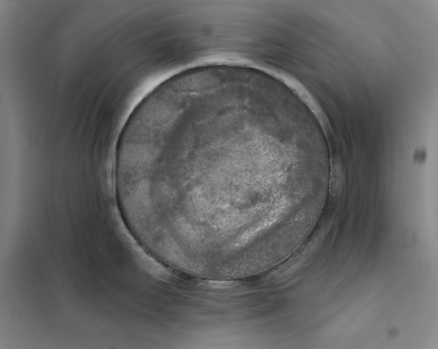 X0000101121295200807241150