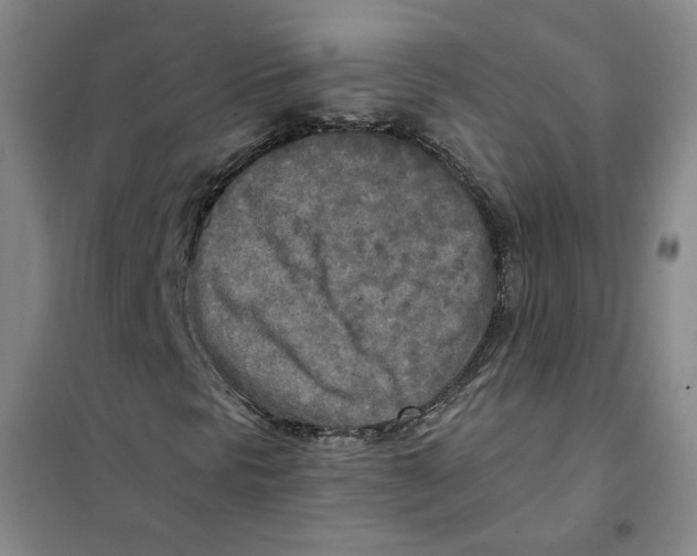 X0000101121297200807241149