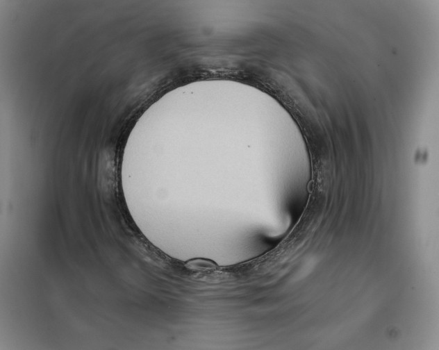 X0000101121298200807241149