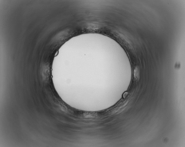 X0000101121299200807241149