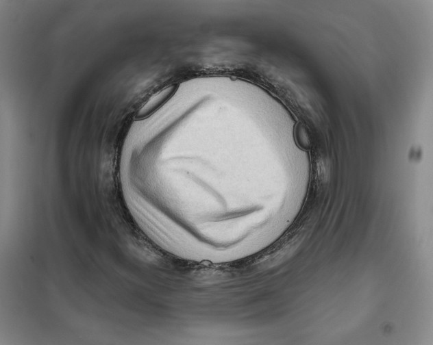 X0000101121300200807241149