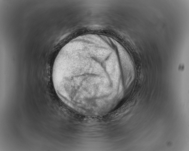 X0000101121301200807241149