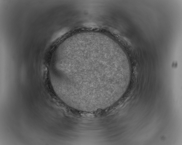 X0000101121302200807241150
