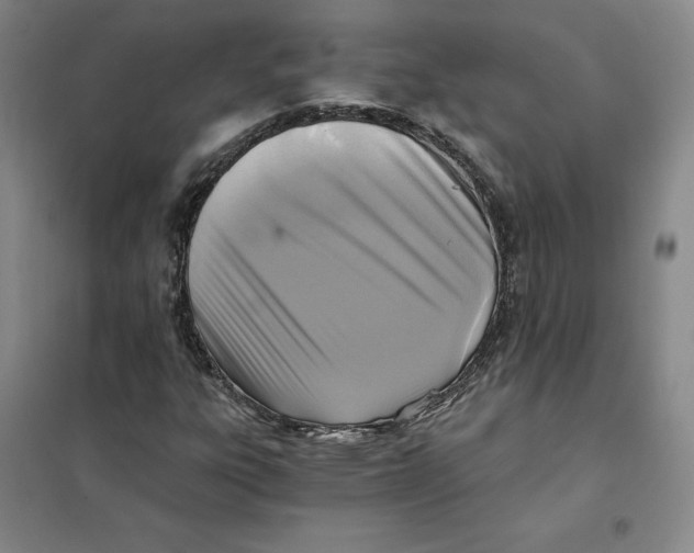 X0000101121303200807241150