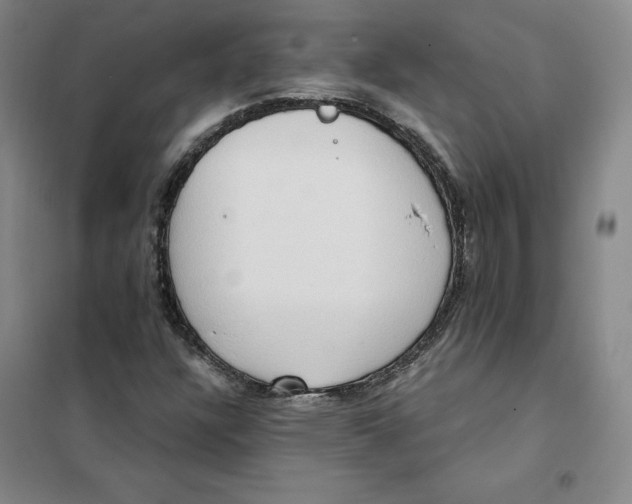 X0000101121304200807241150