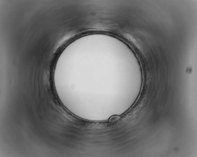X0000101121307200807241150