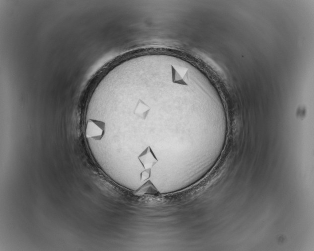 X0000101121310200807241150