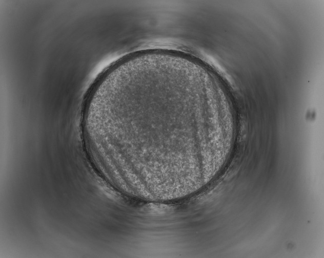 X0000101121312200807241150
