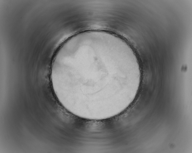 X0000101121314200807241150