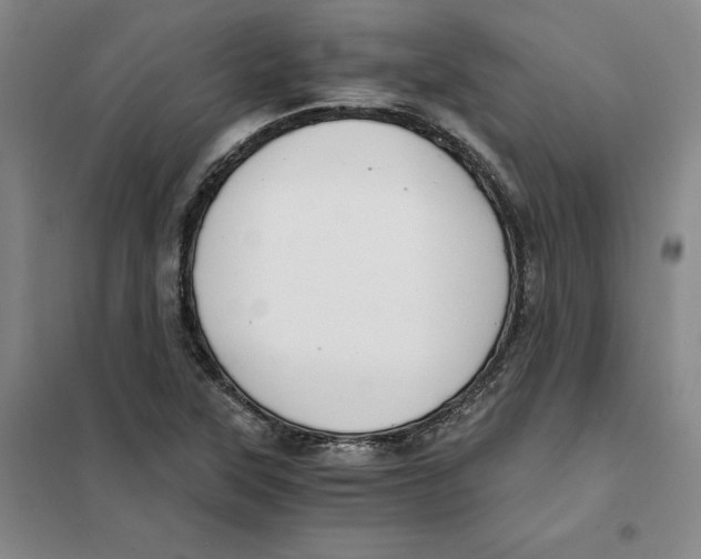 X0000101121315200807241150