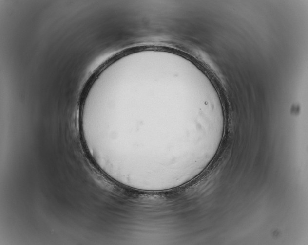 X0000101121320200807241150