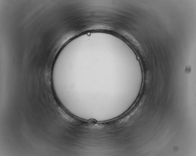 X0000101121321200807241150