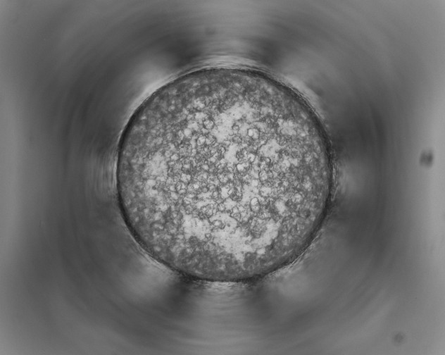 X0000101121322200807241150