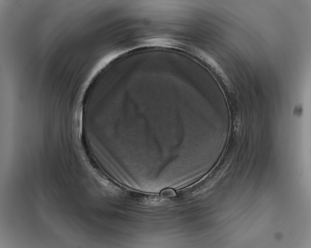X0000101121323200807241150
