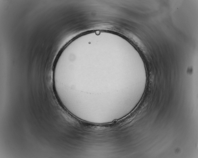 X0000101121324200807241150