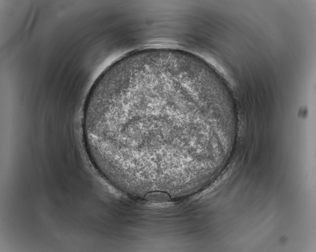 X0000101121325200807241150
