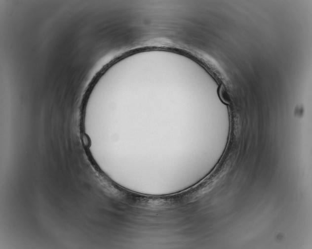 X0000101121326200807241150