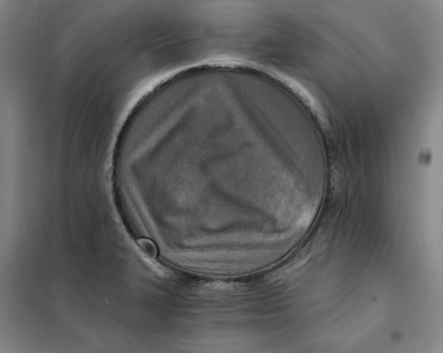X0000101121327200807241150