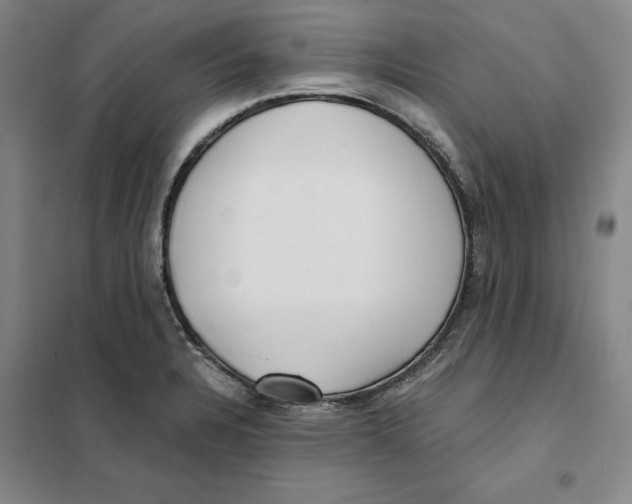 X0000101121328200807241150