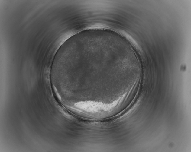 X0000101121329200807241150