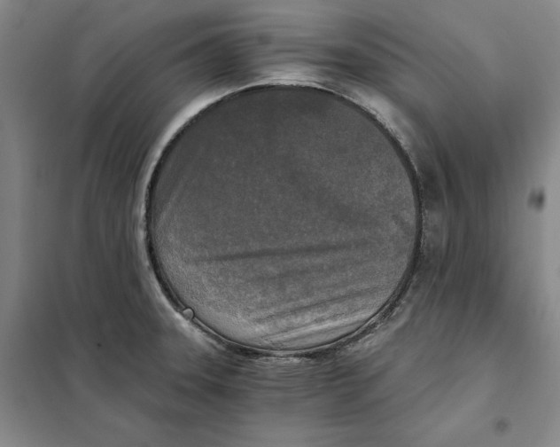 X0000101121331200807241150
