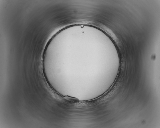 X0000101121332200807241150