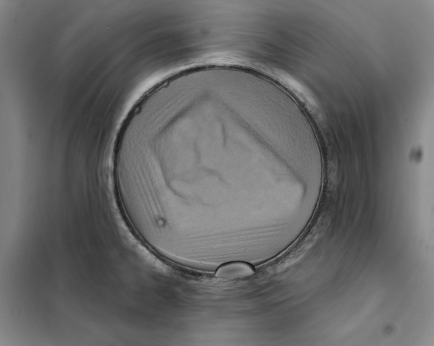 X0000101121334200807241150