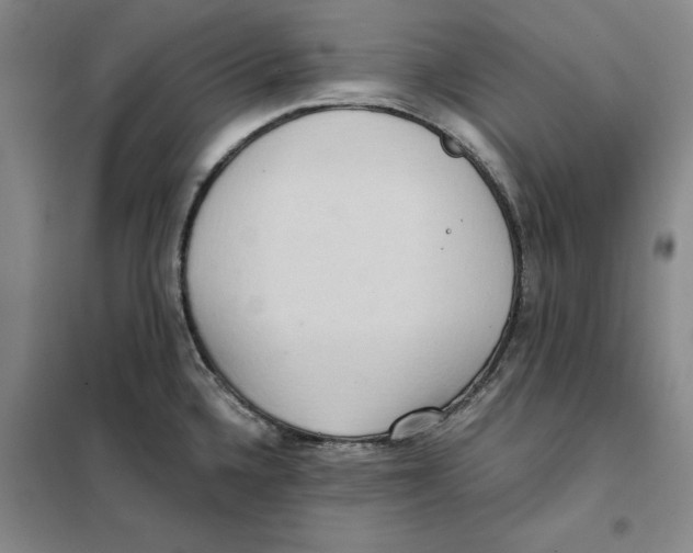 X0000101121336200807241150