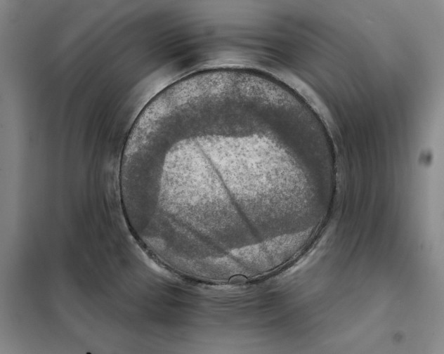 X0000101121337200807241150