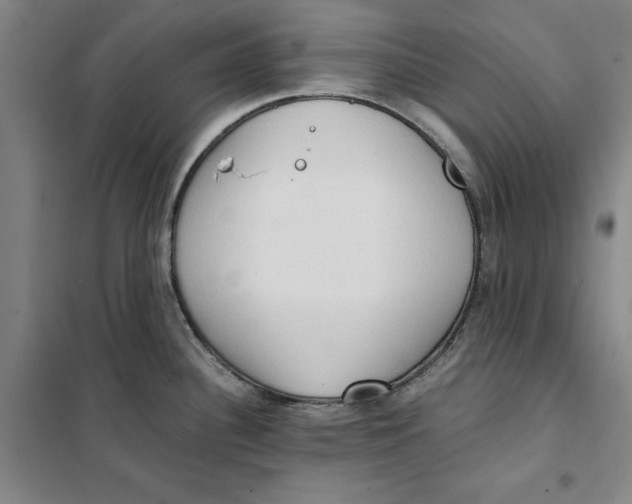 X0000101121340200807241150