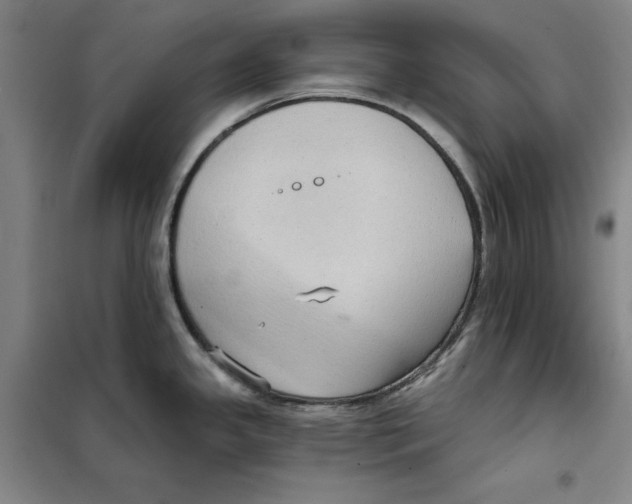 X0000101121341200807241150