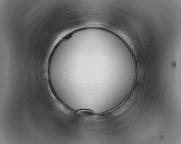X0000101121342200807241150