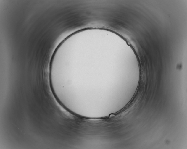X0000101121343200807241150