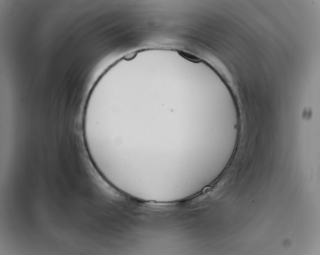 X0000101121344200807241150