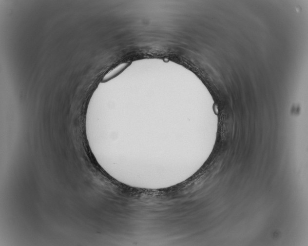 X0000101121345200807241149