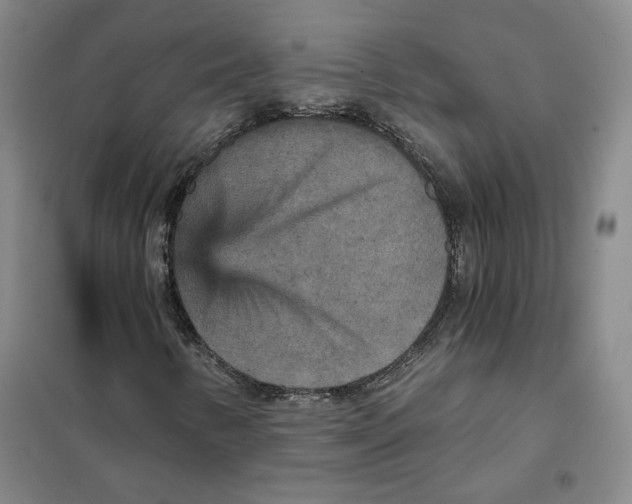 X0000101121346200807241149