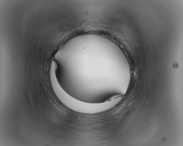 X0000101121348200807241149