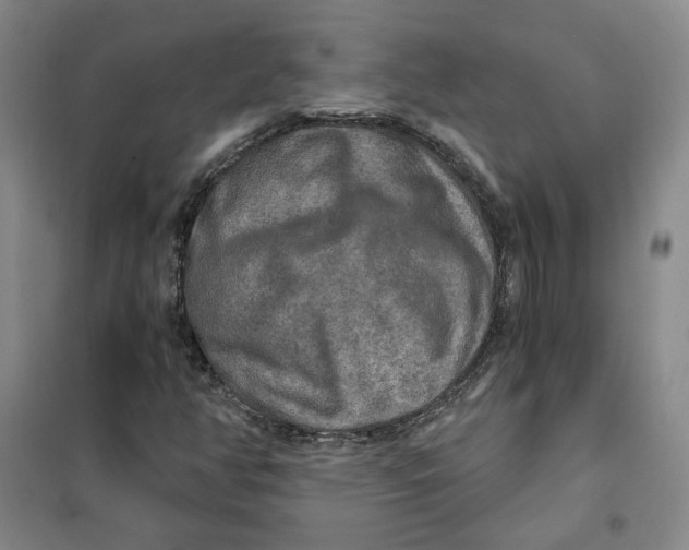 X0000101121350200807241149