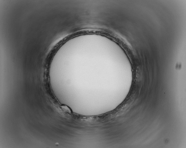 X0000101121352200807241149