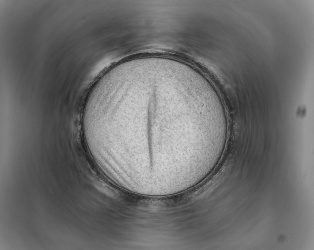 X0000101121355200807241149