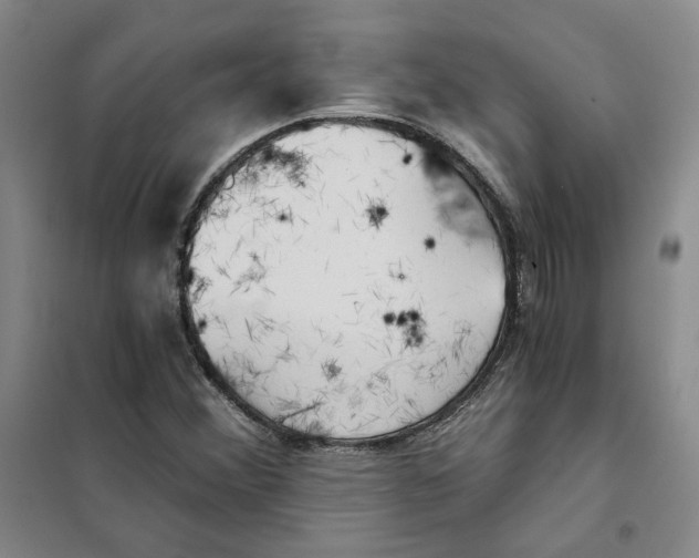 X0000101121356200807241149