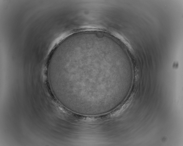 X0000101121357200807241149