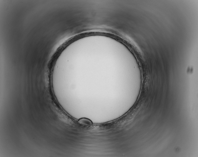 X0000101121360200807241149