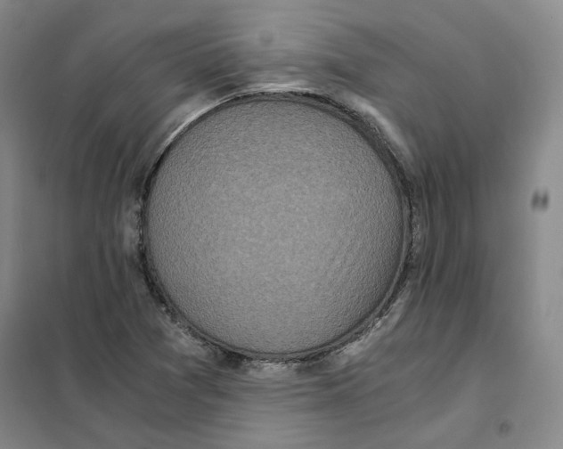 X0000101121361200807241149