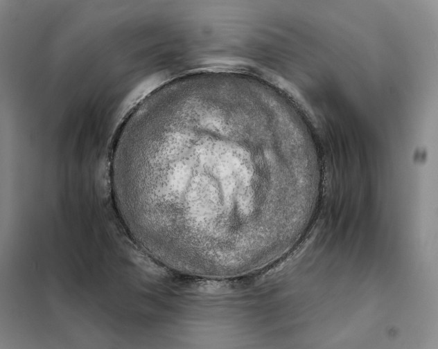 X0000101121362200807241149