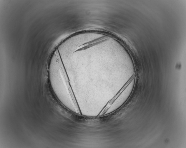 X0000101121363200807241149