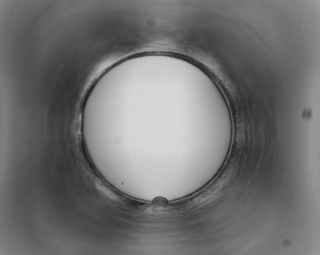 X0000101121366200807241149
