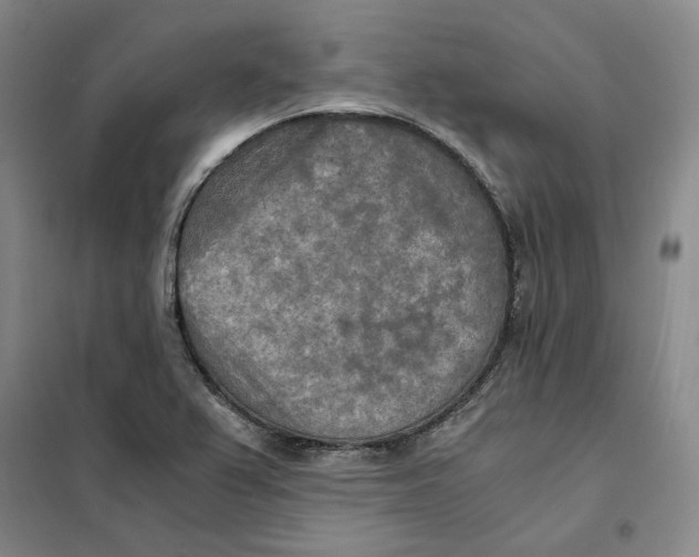 X0000101121367200807241149